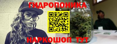 PSILOCYBIN Владивосток